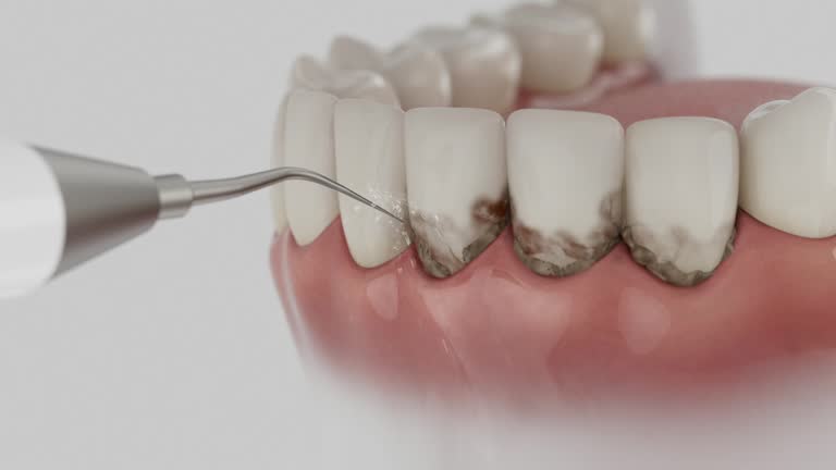 Reliable Dental contractor in Morris Plains, NJ by Dentist Open Now